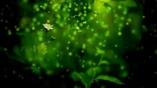 Green nature background video HD [upl. by Sankaran]