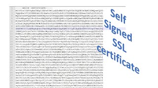 How to create self signed SSL certificate using OpenSSL [upl. by Artimid]