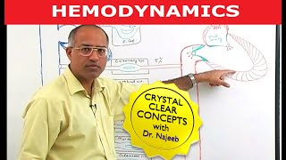 Hemodynamics  Circulatory System Physiology [upl. by Feingold]