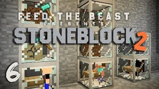 StoneBlock 2 Modpack Ep 6 Automatic Sieve Setup  Item Sorting [upl. by Lleunamme]