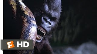 King Kong 59 Movie CLIP  Snake vs Kong 1976 HD [upl. by Misa]