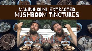 Making Dual Extracted Mushroom Tinctures [upl. by Nosrac]