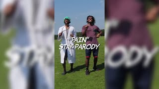 quotPAINquot  STAY PARODY  Dtay Known shorts [upl. by Adolphe]