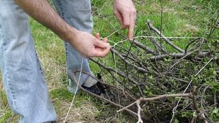 How to bundle branches with string [upl. by Ahsinom]