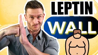 5 Causes of Leptin Resistance amp Visceral Fat [upl. by Ecertal544]