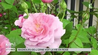 VU DICI  BagnolesdelOrne voit la vie en rose [upl. by Hilaria]