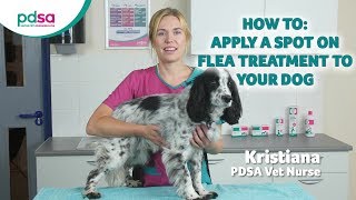 How To Apply A Spot On Flea Treatment To Your Dog PDSA Petwise Pet Health Hub [upl. by Yelik]