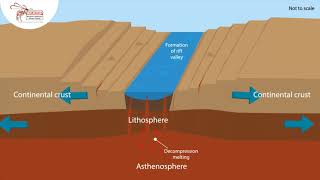 Tectonic Processes  Compilation [upl. by Bernadette]