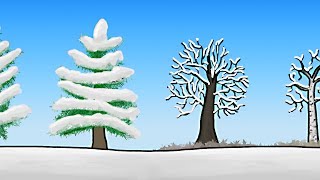 How do Trees Survive Winter [upl. by Hagi]