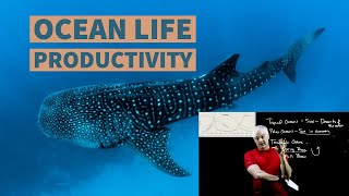 Ocean Productivity Simplified [upl. by Kalin]