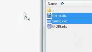 how to crack sims 2 crack download [upl. by Aremus137]