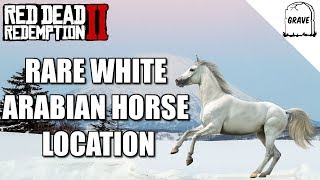 Rare White Arabian Horse Location Red Dead Redemption 2 [upl. by Emse]