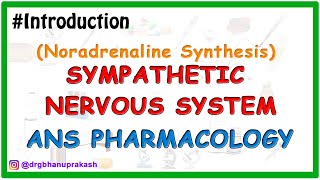 0Sympatethic Nervous System Pharmacology  Noradrenaline synthesis [upl. by Verna]