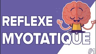 Le Réflexe Myotatique 1  SVT Terminales S  Mathrix [upl. by Raddi]