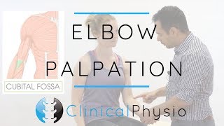 Elbow Palpation  Clinical Physio Premium [upl. by Maletta752]