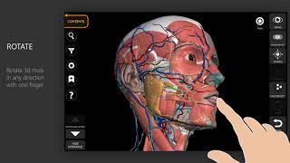 Anatomy 3D Atlas App Tutorial [upl. by Lail130]