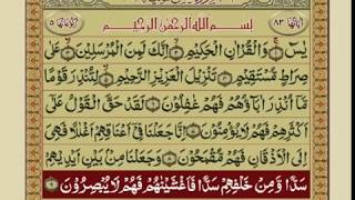 SURAH YASEEN WITH URDU TARJUMA [upl. by Keane668]