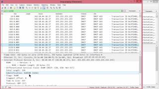 Investigating Network Loops [upl. by Erinna]