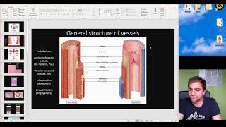 Histology of the Cardiovascular System part 1 [upl. by Yleen]