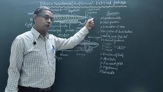 External features of BranchiostomaAmphioxus [upl. by Lehplar]