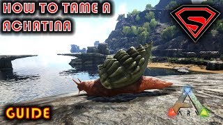 ARK HOW TO TAME A ACHATINA 2020  EVERYTHING YOU NEED TO KNOW ABOUT TAMING A ACHATINA IN ARK [upl. by Zashin]