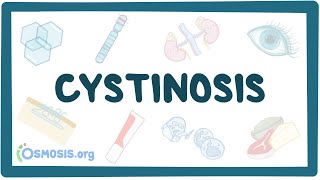 Cystinosis  causes symptoms diagnosis treatment pathology [upl. by Unity709]