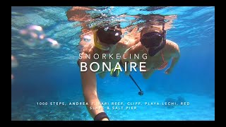 Snorkeling Bonaire [upl. by Edrei]