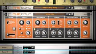 Reason Micro Tutorial The Echo [upl. by Stilu502]