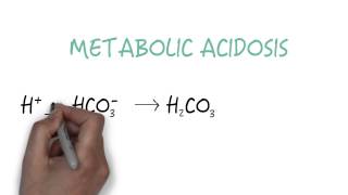 Bicarbonate  The Primary Buffer [upl. by Ramu]