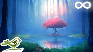 Deep Relaxing Music • Meditation Music Sleep Music Ambient Music [upl. by Elbon752]