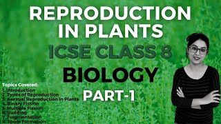 Reproduction in Plants 🌱  ICSE CLASS 8 Biology  Part  1 [upl. by Hestia]