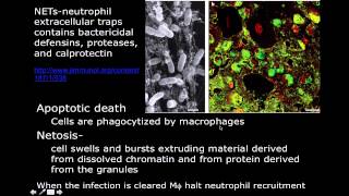 Transport Across Cell Membranes [upl. by Sirrah362]