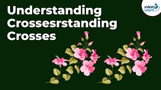 Genetics  Understanding Crosses  Lesson 6  Dont Memorise [upl. by Beaston]