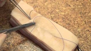 Subcuticular Suturing [upl. by Nawuq]