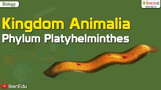 Kingdom Animalia Phylum Platyhelminthes  Biology  iKen  iKenEdu  iKenApp [upl. by Atnes]