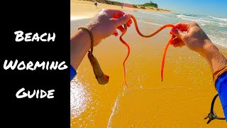 Beach Worming Guide  InDepth amp Beginner Friendly [upl. by Thorn]