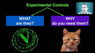 Controlled Variables and Experimental Controls [upl. by Iormina]