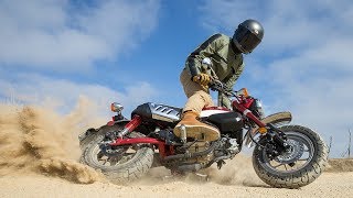 2019 Honda Monkey Review  First Ride [upl. by Raclima752]