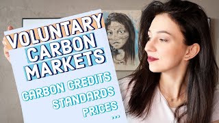 Voluntary carbon markets Carbon credits Offset Standards  Explainer from a business consultant [upl. by Enovaj]