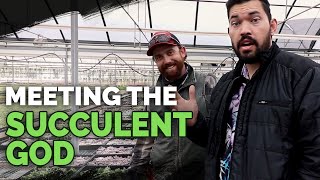 Secret Succulent Care Tips From a Master Succulent Grower [upl. by Isobel69]