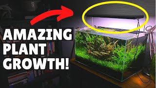 The Secret to Amazing Plant Growth  Twinstar LED Light Unboxing [upl. by Aztinaj]