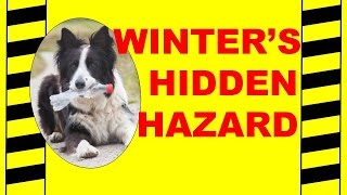 Winters Hidden Hazard  Cold Weather Health amp Safety  Safety Training Video [upl. by Ellene526]