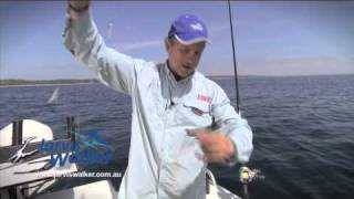 How to Catching baitfish on Sabiki rigs [upl. by Dex]