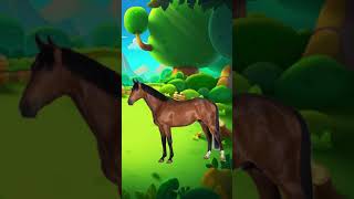 Domestic Animals  Rapid Kids TV Trailer Short [upl. by Adnaw861]