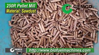 small biomass pellet maker for sale wood pellet press [upl. by Netloc]