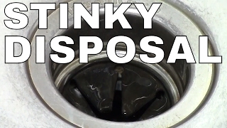 GARBAGE DISPOSAL HOW TO CLEAN  FAST Simple TRICK ICE [upl. by Oaoj]