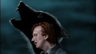 Remus Lupin Monster [upl. by Dleifyar]