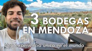 3 BODEGAS en MENDOZA [upl. by Ilana]