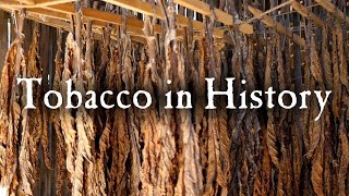 Growing Tobacco In Early America [upl. by Katlin]