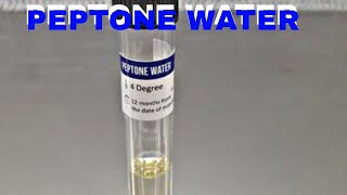 PEPTONE WATER  MICROBIOLOGY [upl. by Bonar502]